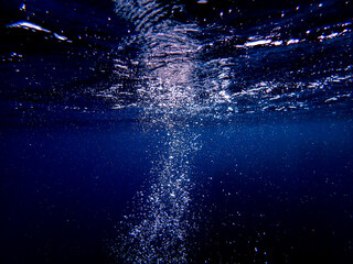 Air bubbles underwater rising to water surface, natural scene, bubbles under water, bubble...