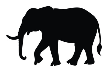 Fototapeta premium Silhouette of an elephant walking slowly and gently vector illustration.