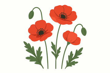 Fototapeta premium Illustration of three red poppy flowers with green stems and leaves on a white background design art