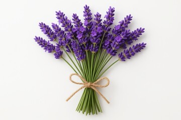 Lavender bunch isolated on white background featuring purple flowers in natural botanical arrangement perfect for aromatherapy and wellness marketing