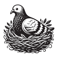 Pigeon in the nest image vector.