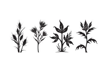 Fototapeta premium Desert Plant Silhouette Vector Collection