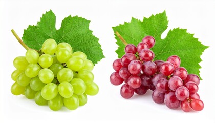 Fototapeta premium Green and red grapes isolated on white background