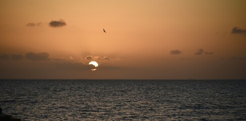 sunset at the beach