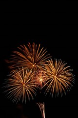 Fototapeta premium Golden Fireworks Display at Night Celebration Pyrotechnics Festive
