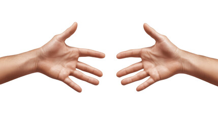 two open hands holding each other on white background