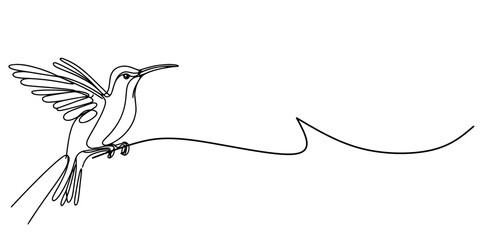 Fototapeta premium Tranquil Hummingbird Moment, Minimalist art featuring a perched hummingbird in elegant lines