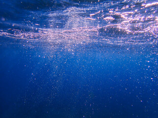 Air bubbles underwater rising to water surface, natural scene, bubbles under water, bubble...