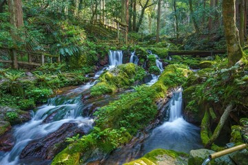 静寂に包まれた瓜割の滝の情景