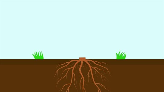 Tree Roots concept. Full length animation illustration. High quality&nbsp;4k&nbsp;footage