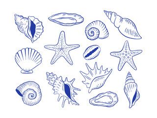 Hand drawn seashell and starfish vector illustration. Doodle sea life shell icon set.
