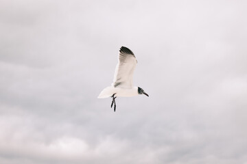 Destin when the sun sets 