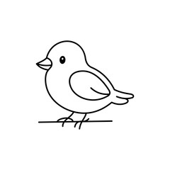 Cute cartoon Bird coloring book illustration vector design templates simple and modern, isolated on white background