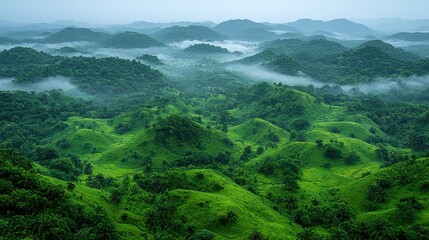 Fototapeta premium Serene Green Hills of Bohol, Philippines