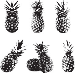 Pineapple fruit icon vector illustration bundle