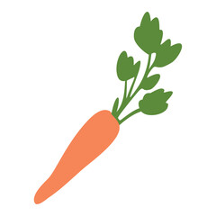 Flat orange carrot icon. Vector