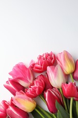 Obraz premium Beautiful tulips on white background, flat lay. Space for text