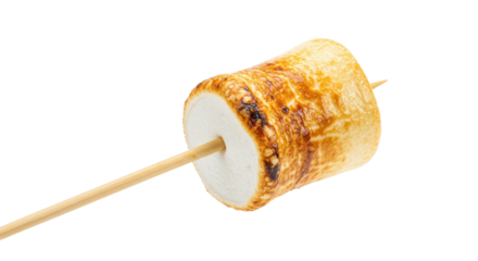 Toasted Marshmallow on a Skewer with Golden Brown Caramelized Surface