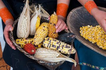 Indigenous women holding basket and bowl with colorful corn
