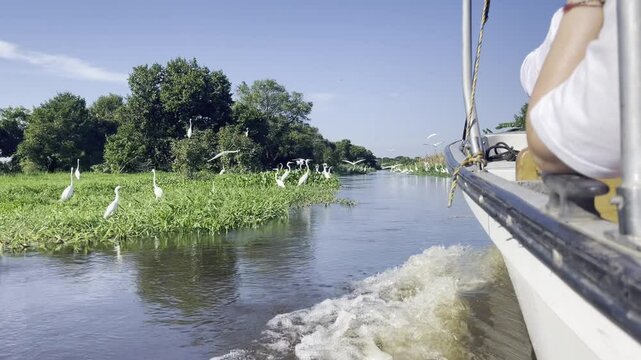 MOMPOX AVES EN EL RIO 