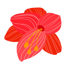 Obraz premium Red Flower Isolated on White Illustration 