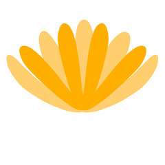 Yellow Flower Isolated on White Illustration 