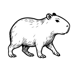 Hand-drawn vector illustration of a walking capybara in vintage engraving style. Black and white line art ideal for logos, labels, educational materials, prints, and wildlife-themed designs.