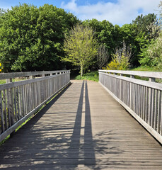 Fototapeta premium Wooden bridge in forest