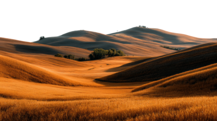 Golden rolling hills at dusk nature serene landscape countryside wide angle cut out png