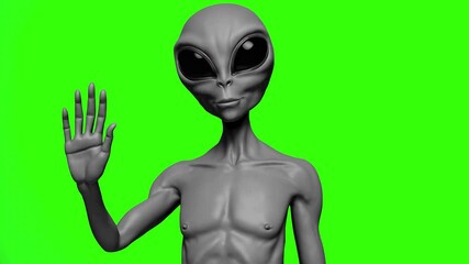 3D animated gray alien with large black eyes, humanoid build, and smooth skin, waving to the camera. Green screen background. Great for sci-fi intros, alien meme edits, or interstellar-themed content.