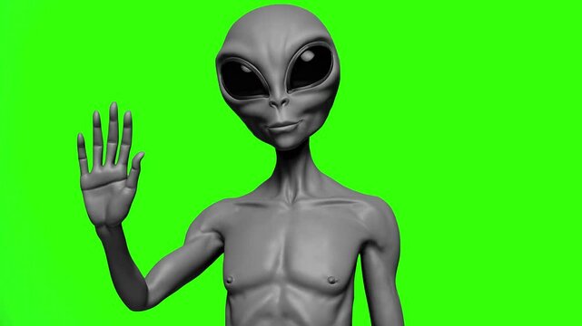 3D animated gray alien with large black eyes, humanoid build, and smooth skin, waving to the camera. Green screen background. Great for sci-fi intros, alien meme edits, or interstellar-themed content.