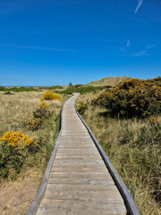 wooden boardwalk leading through sand dunes and grassy terrain 