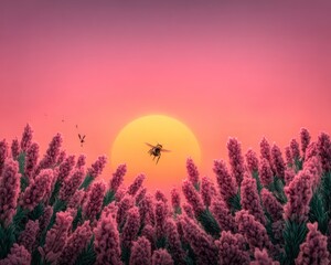 Fototapeta premium Vibrant sunset over a field of pink flowers with a bee
