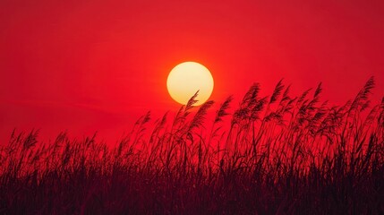 Realistic image of summer in vibrant red tones, evoking an exciting mood, for ad agencies, advertising agencies, and campaign strategists.