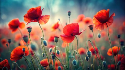 Obraz premium Vibrant Red Poppies in a Serene Field at Dawn, Their Delicate Petals Unfurling in the Soft Light, Creating a Breathtaking Natural Tapestry