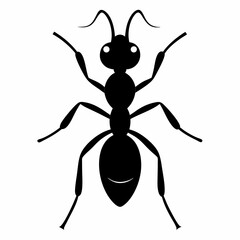 Simple Black Silhouette of an Ant on a White Background