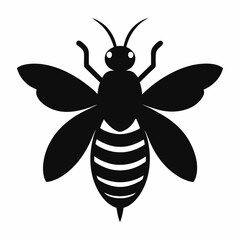 Simple Black and White Bee Illustration with Wings and Stripes