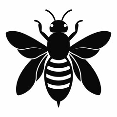 Black and white vector illustration of a bee with striped abdomen