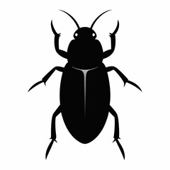 Black beetle vector illustration on white background in simple style