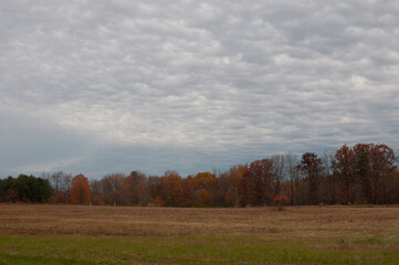 Cold day walk in the park