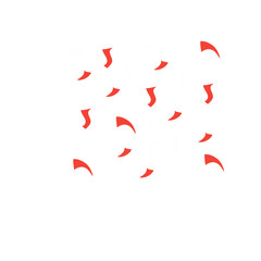 Indonesian independence confetti decoration