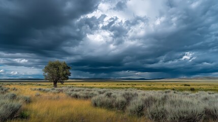 Storm clouds gather over wild plains creating dramatic tension. Landscape features lone tree. AI generated.