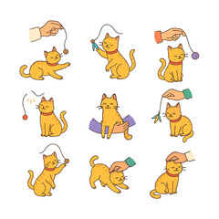 Cute Cat Playing