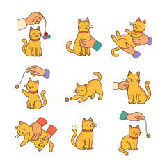 Cute Cat Playing