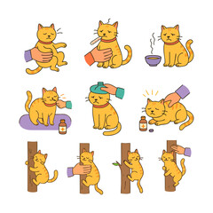 Cute Cat Playing
