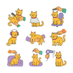 Cute Cat Playing