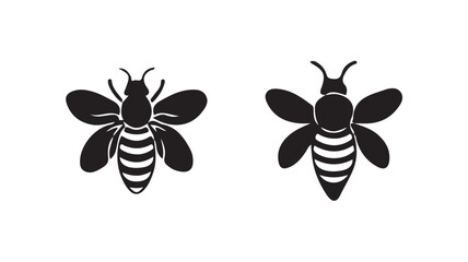 Bee Beauty in Black And White vector icon. Honey bee  icon, vector illustration eps 10.