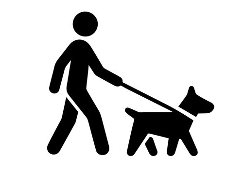 person walking dog vector icon