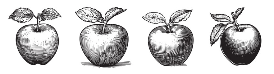 A collection of four vintage hand-drawn apples with leaves, showcasing intricate details in black and white. Perfect for nature lovers and culinary themes., set vector illustration