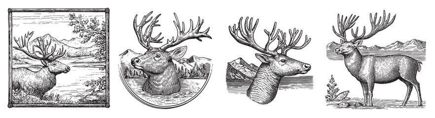 Naklejka premium This vintage-style artwork features a series of detailed deer illustrations, capturing the essence of wildlife in serene natural landscapes, perfect for nature enthusiasts., set vector illustration